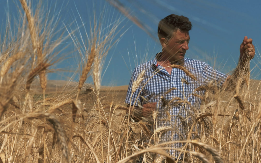 « Gluten, ennemi public » sur La Une et sur ARTE !