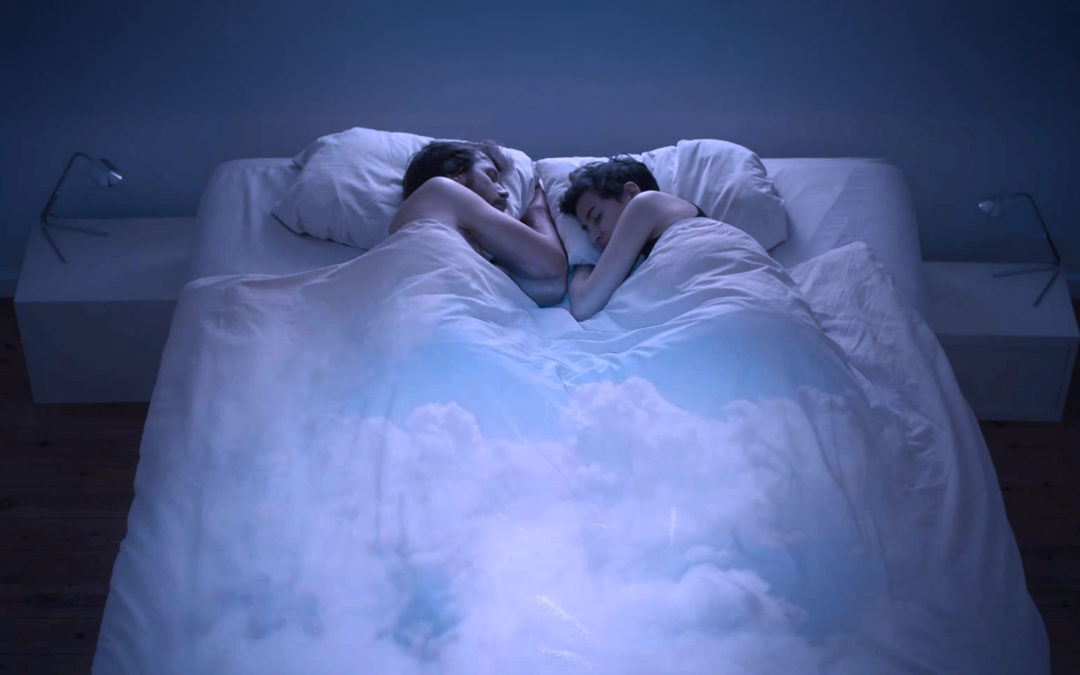 Stork Dreams
