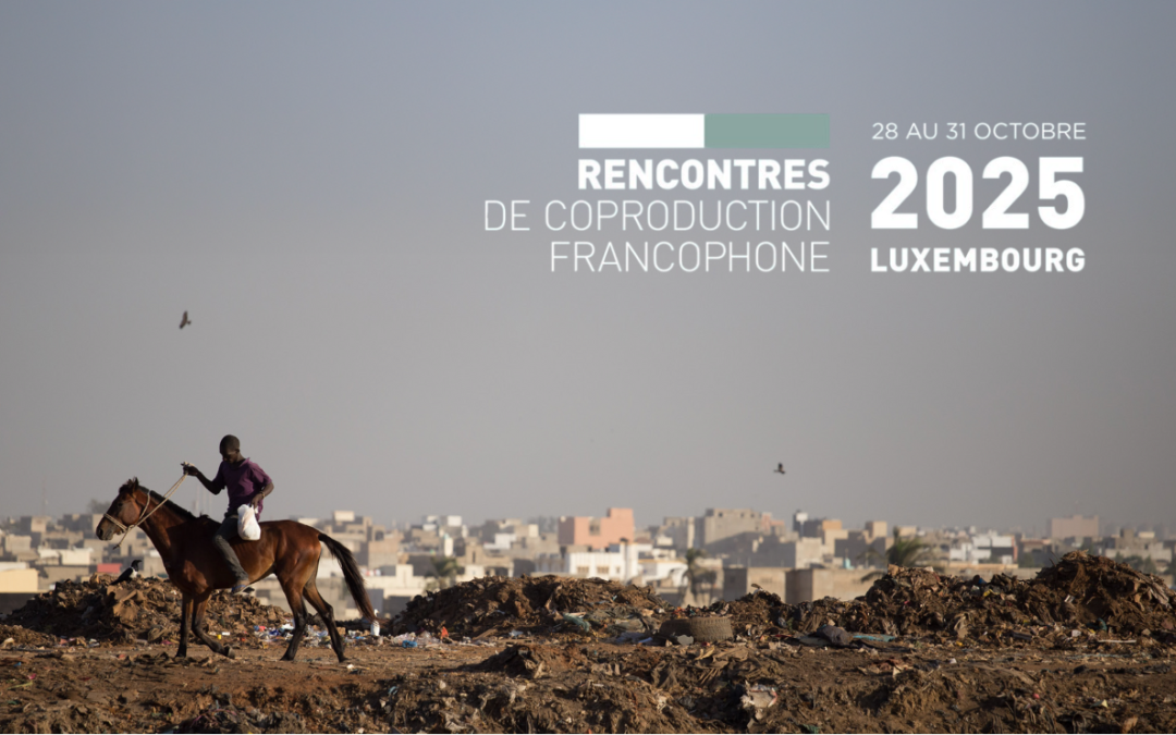 LE ROYAUME de Samira Hmouda  est sélectionné aux Rencontres de Coproduction Francophone (RCF) 2025